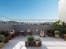 Rooftop