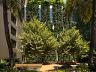 Jardim interno