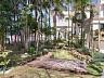 Bosque com 400m de rea de preservao