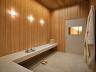 Sauna mida